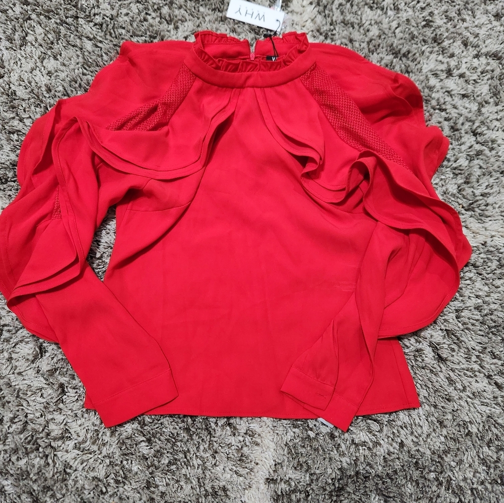 WHY DRESS -Ruffle MESH LONG SLEEVE Size L